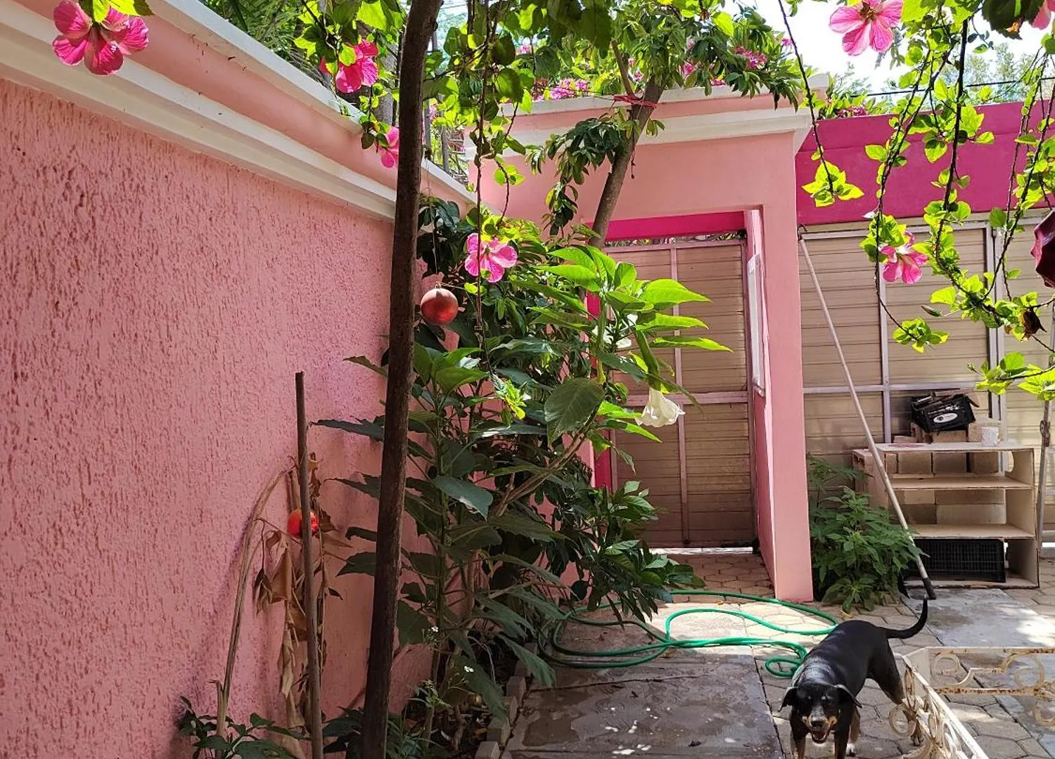 קנקון Barbie Home 0*,