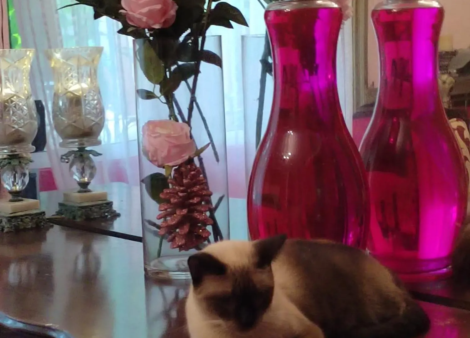בית אירוח קנקון Barbie Home מקסיקו