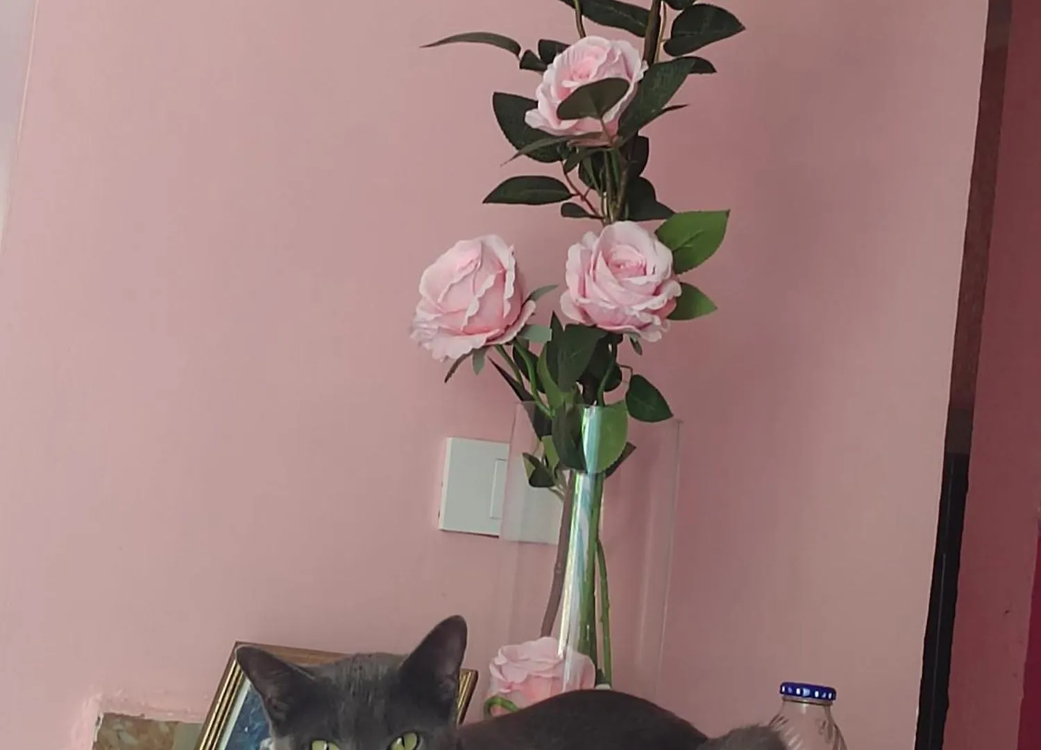 קנקון Barbie Home מקסיקו